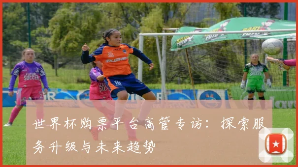 世界杯购票平台高管专访：探索服务升级与未来趋势