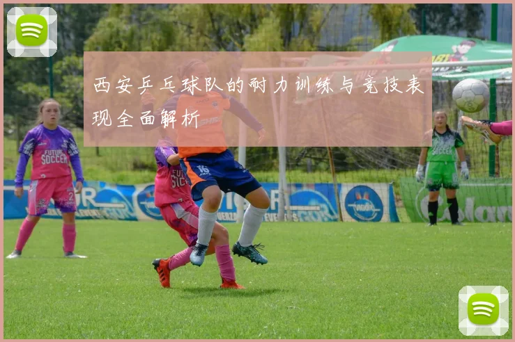 西安乒乓球队的耐力训练与竞技表现全面解析