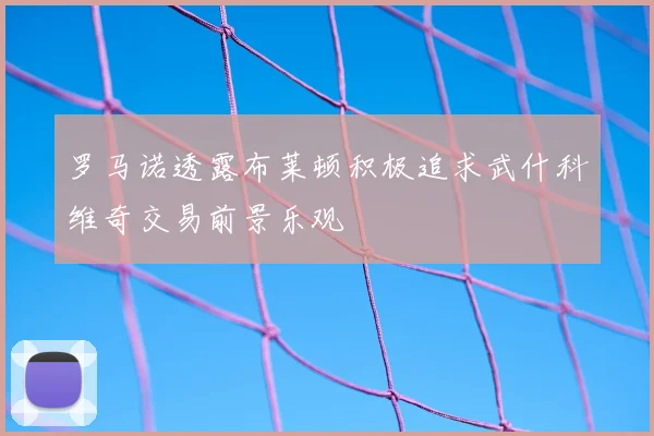 罗马诺透露布莱顿积极追求武什科维奇交易前景乐观