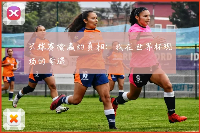 买球赛输赢的真相：我在世界杯现场的奇遇