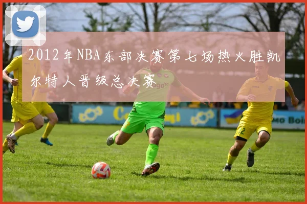 2012年NBA东部决赛第七场热火胜凯尔特人晋级总决赛