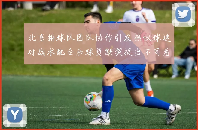北京排球队团队协作引发热议球迷对战术配合和球员默契提出不同看法