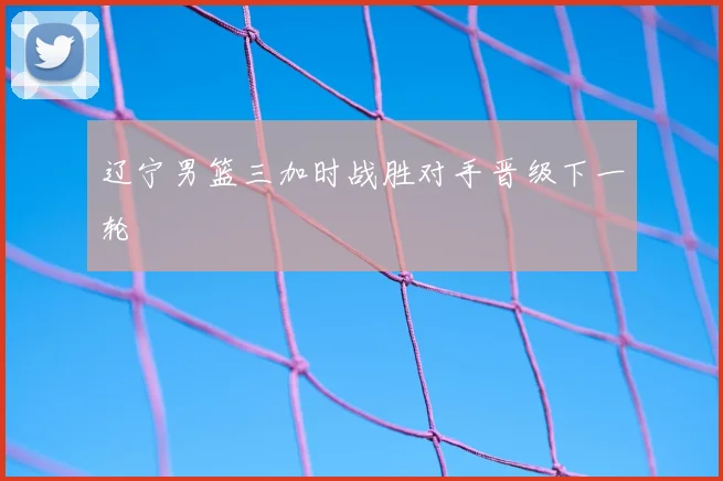 辽宁男篮三加时战胜对手晋级下一轮
