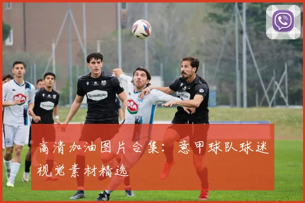 高清加油图片合集：意甲球队球迷视觉素材精选