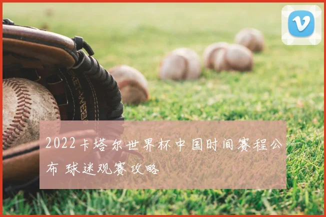 2022卡塔尔世界杯中国时间赛程公布 球迷观赛攻略