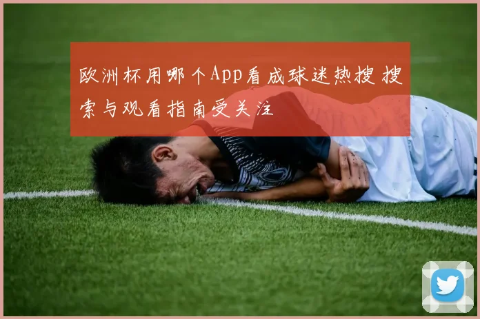 欧洲杯用哪个App看成球迷热搜 搜索与观看指南受关注